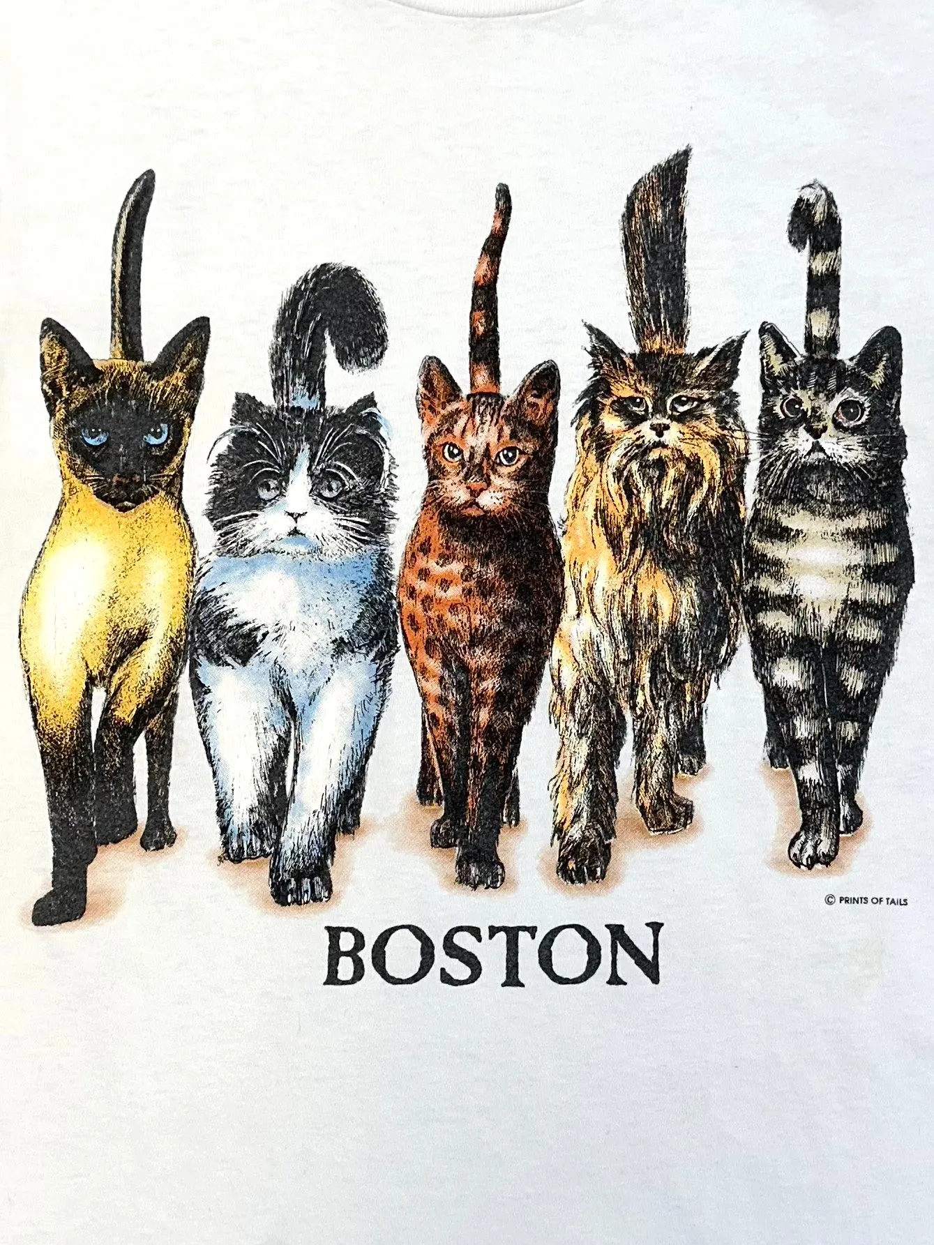 1990s Boston Kittens Tee