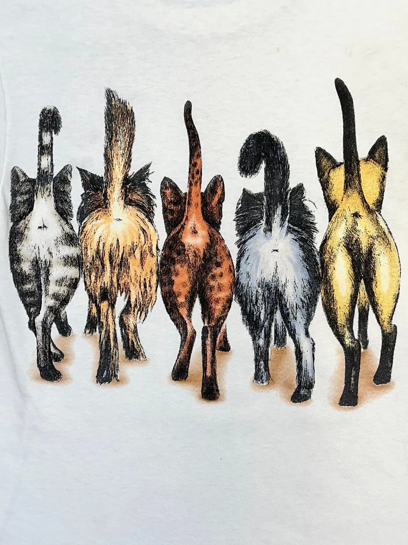 1990s Boston Kittens Tee
