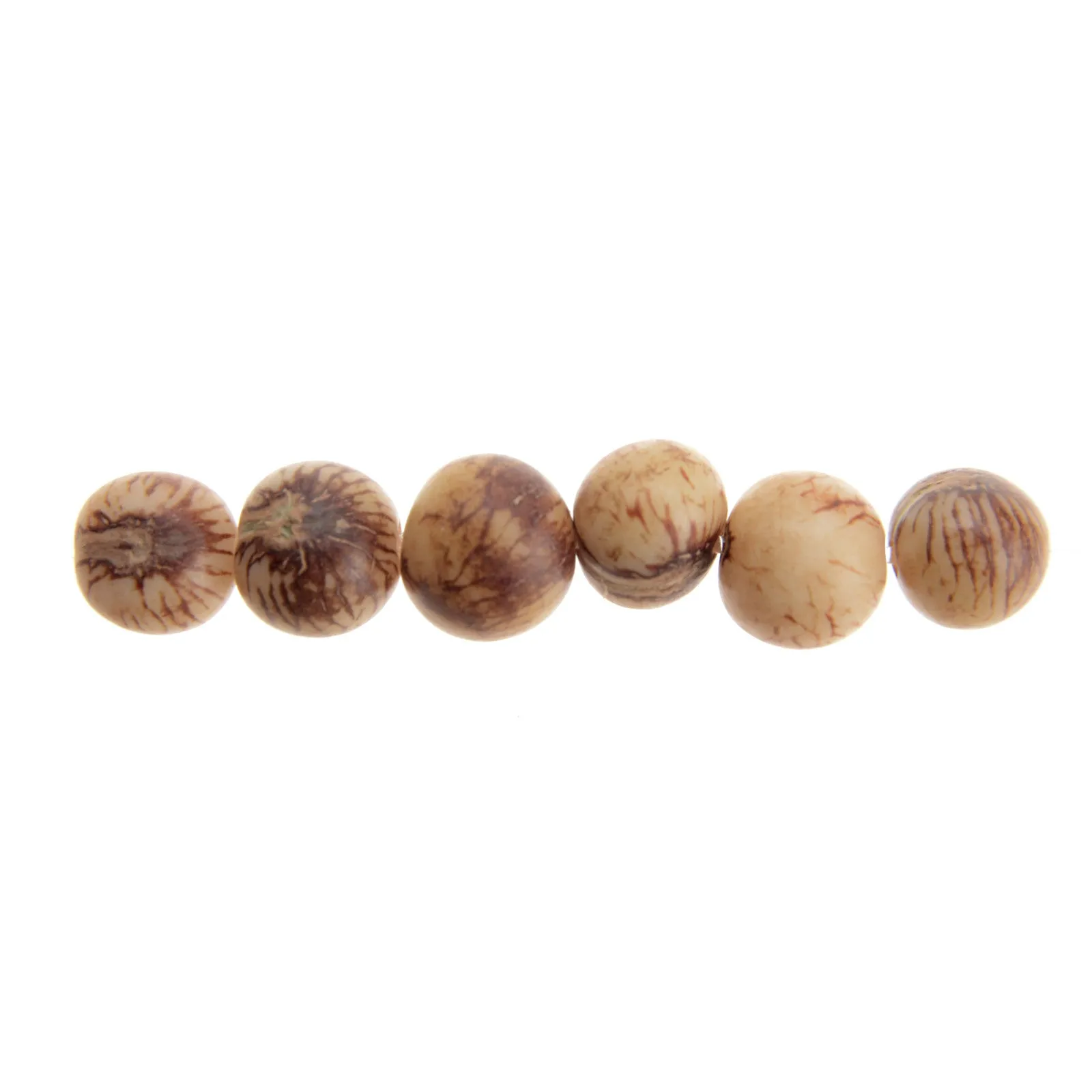 Acai Seeds Of Life Bracelet with Wax Seal - Tiger Natural Beads