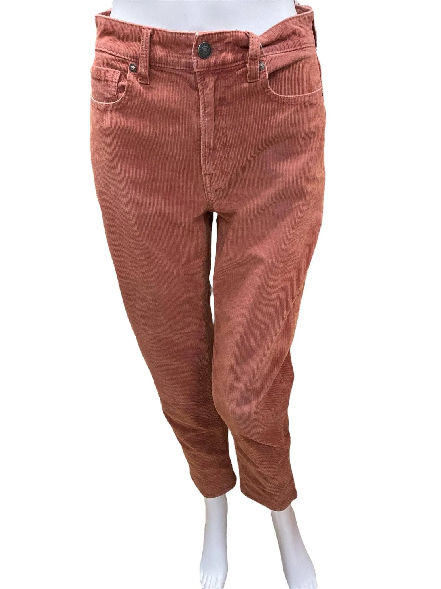 American Eagle Pants Size 0