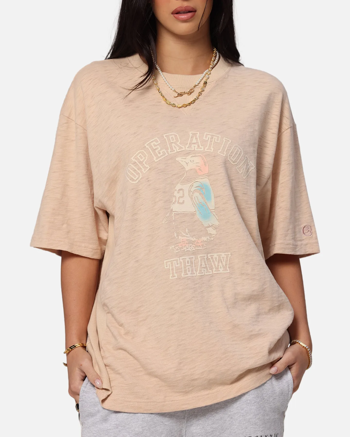 Champion RW Expansion T-Shirt Mocha